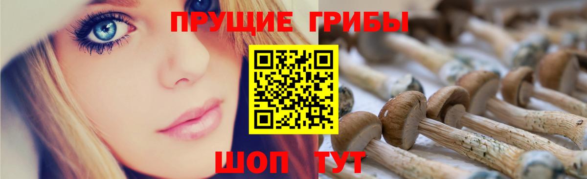 Псилоцибиновые грибы прущие грибы Мурино